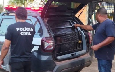Homem é preso suspeito de estuprar mulher com deficiência e ameaçar por fogo na família da vítima