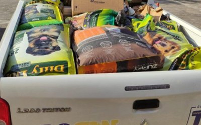 Operação Agropet: PROCON apreende 4.663 produtos vencidos em petshops e lojas agropecuárias