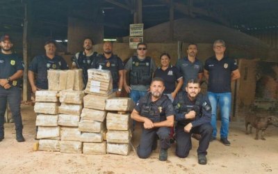 Polícia Civil incinera cerca de 400 kg de maconha e gera prejuízo de R$ 1 milhão ao crime organizado