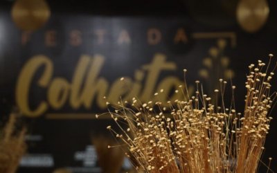 Festa da Colheita do capim-dourado tem participação da Secretaria do Turismo
