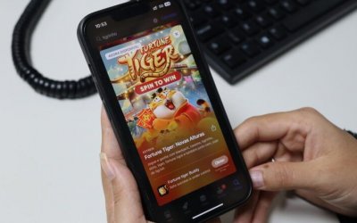 Polícia Civil do Tocantins conclui investigações e indicia influenciadora digital por jogos de azar e lavagem de dinheiro