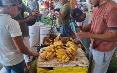 Governo do Tocantins promove 13ª edição da Feira da Colheita em Araguatins com atendimentos sobre aposentadoria rural, salário-maternidade e palestras técnicas