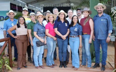 Governo do Tocantins investe mais de R$ 11 milhões em Ciência, Tecnologia e Inovação
