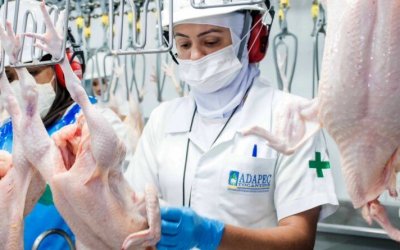 Governo do Tocantins garante desenvolvimento na defesa agropecuária com investimentos de mais de R$ 4,7 milhões