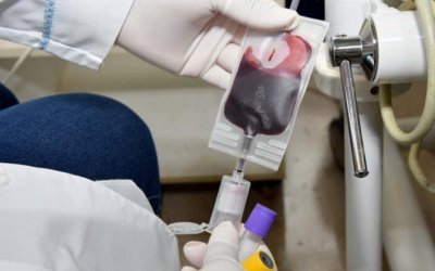 Hemorrede Tocantins divulga agenda das ações do mês de julho