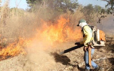 Governo do Tocantins firma Pacto Interfederativo para o Combate aos Incêndios no Pantanal e na Amazônia junto a outros nove estados e União