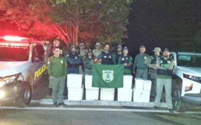 Operação do Naturatins apreende cerca de 200 kg de pescado e aplica mais de R$ 15 mil em multas