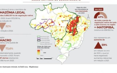 Tocantins é o 3º estado que mais desmata no Brasil