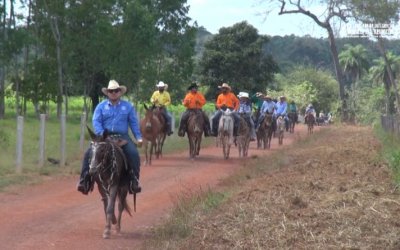Tropeiros vão percorrer quase 100km durante XVI tropeada Nossa Senhora Aparecida