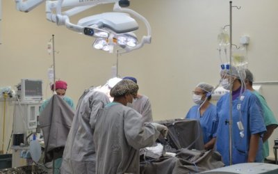 Tocantins realiza primeira captação de múltiplos órgãos, de 2024