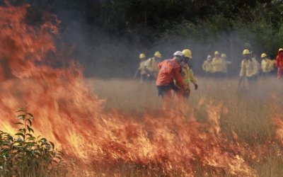 Em Caseara, Naturatins finaliza capacitação da brigada com prática de combate a incêndios florestais