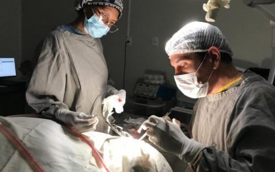 Novo recorde: Governo do Tocantins realiza 1.448 cirurgias eletivas em abril