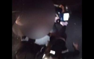 Mulher grávida e companheiro morrem após colisão contra vaca na BR-242