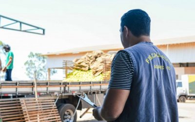 Governo do Tocantins investe mais de R$ 6 milhões no fortalecimento do sistema de defesa agropecuária