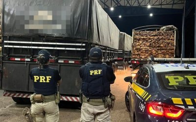 PRF/TO apreende quase 90m³ de madeira transportada ilegalmente na BR 230