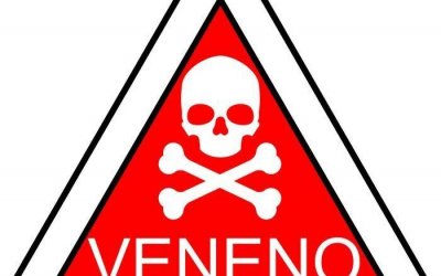 Estudante de 11 anos envenena água da garrafa de colega em escola de Palmas