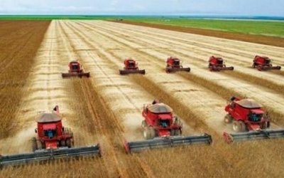 Agro dispara com maior crescimento em 27 anos e sustenta alta do PIB