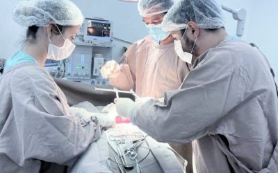 Tocantins realiza quase mil cirurgias eletivas em fevereiro