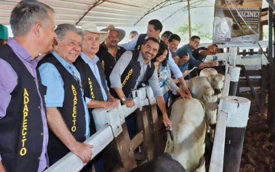 Governo do Tocantins lança penúltima campanha de imunização da aftosa e destaca que Estado está livre da doença