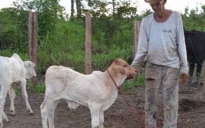Um ano após desaparecimento de idoso no Parque no TO, família cobra respostas: ?não tivemos resposta?