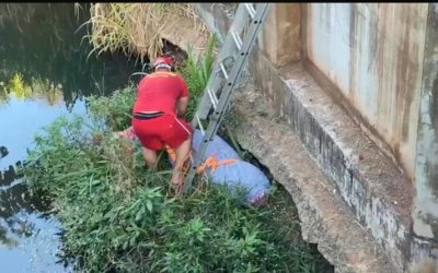 Empresário desaparecido é encontrado morto enrolado em tapete em Araguaína