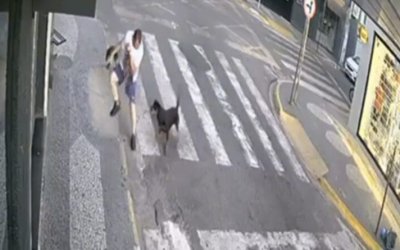 VÍDEO; PM salva homem e seus cães de ataque de Rottweiler enfurecido em Araguaína