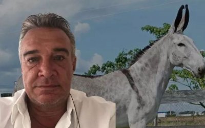 Morre Ricardo Abate Filho, referência nacional na criação do Jumento Pêga