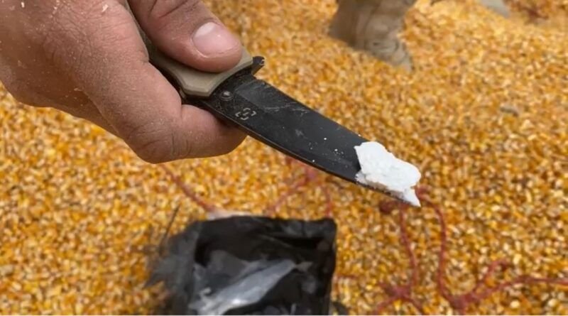 PRF apreende cerca de meia tonelada de pasta base de cocaína escondida em carreta em Araguaína