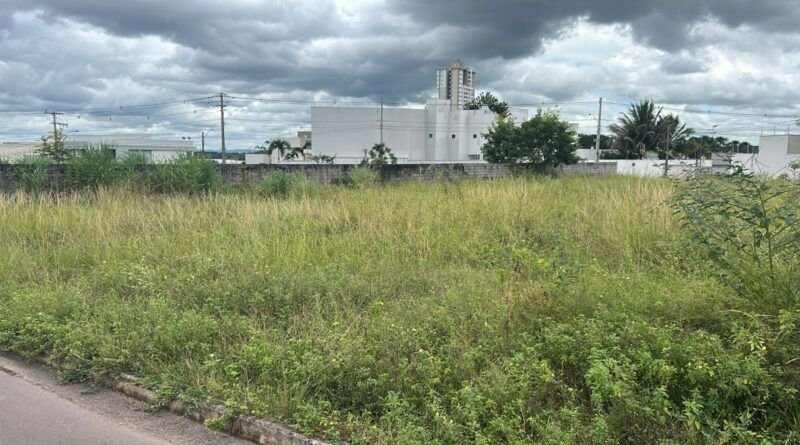 Moradores do setor Santa Mônica reclamam de mato alto em lote abandonado