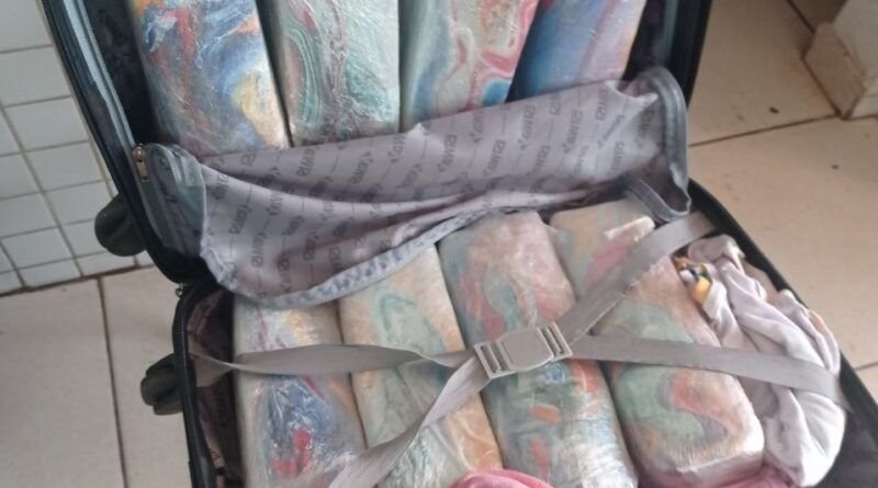 PRF Apreende 30 kg de maconha em ônibus na BR-153; uma mulher foi presa