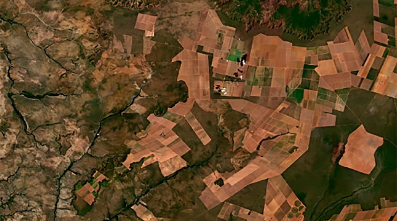 Em audiências de conciliação, MPTO busca soluções para regularizar atividades agropecuárias na região do Jalap