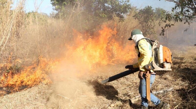 Governo do Tocantins firma Pacto Interfederativo para o Combate aos Incêndios no Pantanal e na Amazônia junto a outros nove estados e União