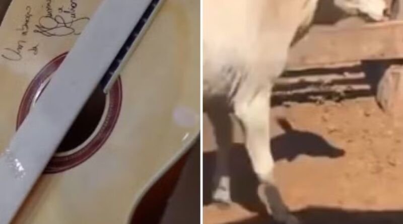 Violão autografado por Henrique e Juliano e bezerra doada por Leonardo são arrematados por mais de R$ 115 mil em leilão