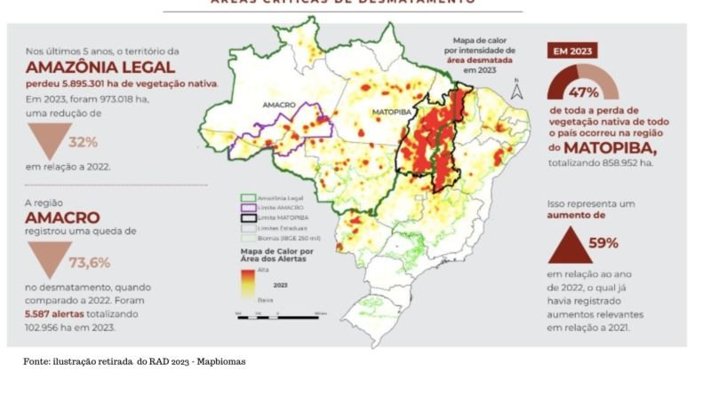 Tocantins é o 3º estado que mais desmata no Brasil