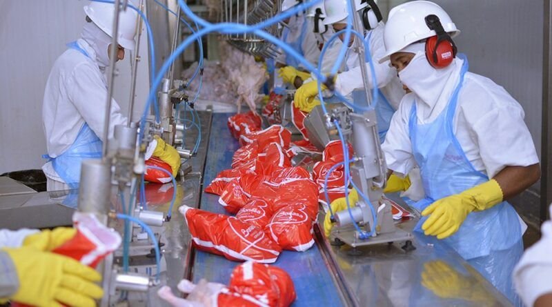 Tocantins registra um dos maiores crescimentos econômicos do país e avança para R$ 64,3 bilhões de PIB