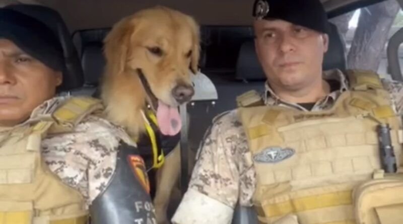 PM faz homenageam a cão policial que se aposentou; confira o vídeo