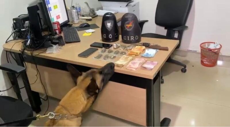 Polícia Militar prende homem por tráfico após cão farejador localizar drogas dentro de veículo em Araguaína