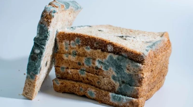 Procon divulga balanço de operação que apreendeu mais de 14 mil produtos vencidos