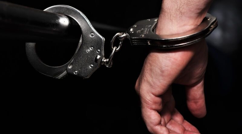 Idoso flagrado praticando abuso sexual contra animal é preso pela Polícia Civil