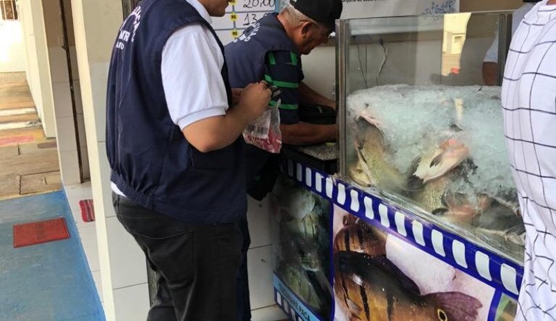 Período quaresmal: Agência de Metrologia orienta consumidores sobre as compras de pescado