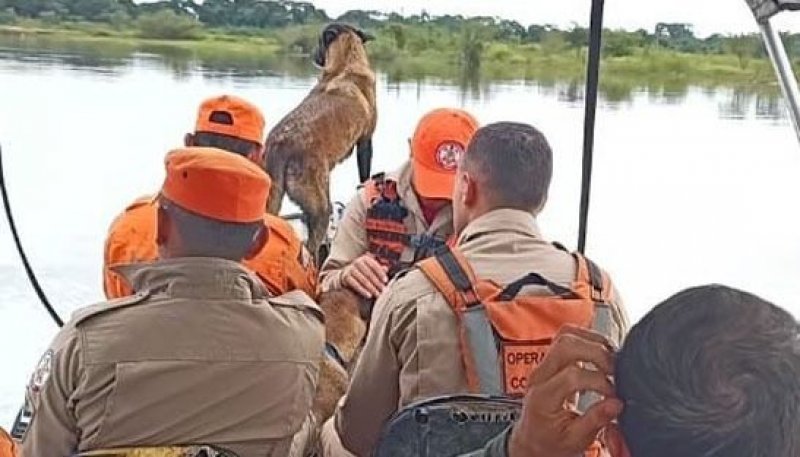 Cão farejador do Corpo de Bombeiros reacende esperança na busca por menino indígena Bruno Karajá