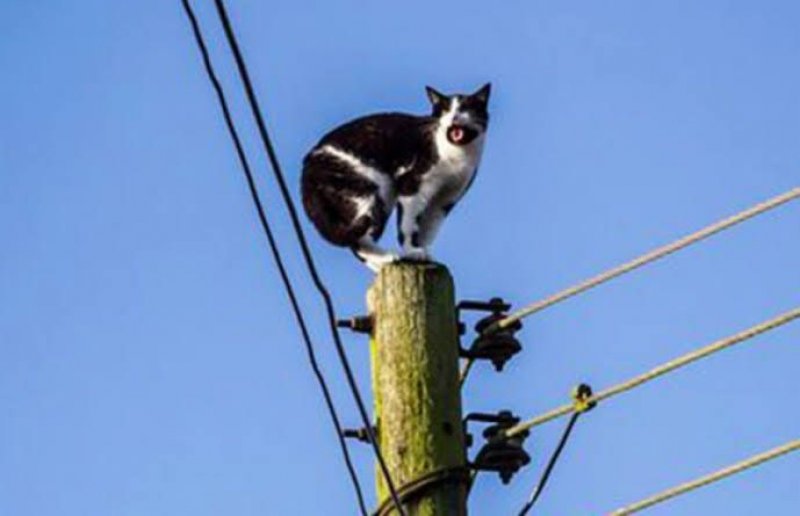 Energia furtada no TO em 2023 seria suficiente para abastecer a cidade de Colinas por um ano