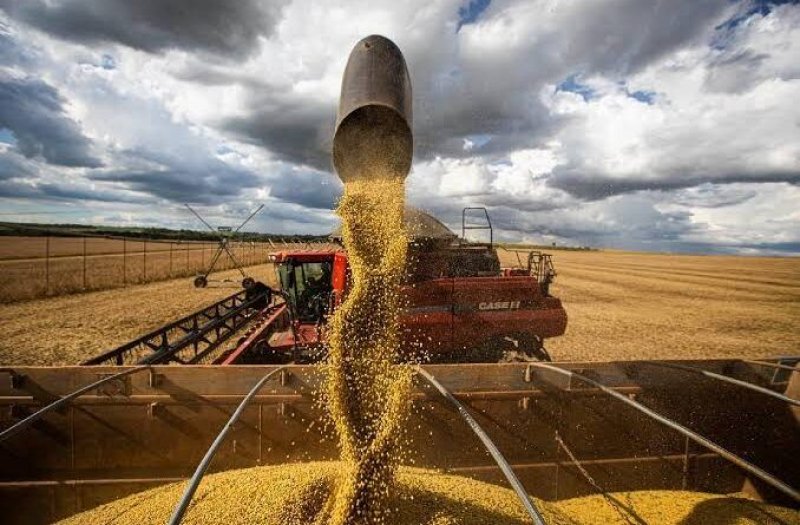 StoneX reduz previsão novamente e descarta safra recorde de soja no Brasil; Tocantins está entre estados com queda