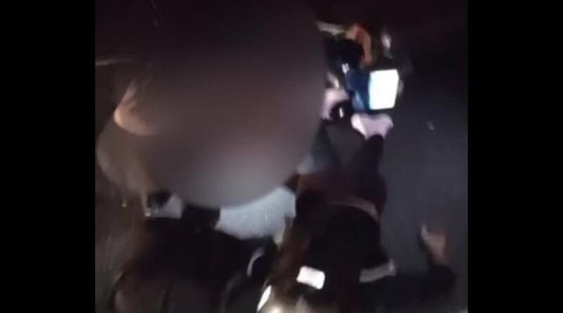 Mulher grávida e companheiro morrem após colisão contra vaca na BR-242