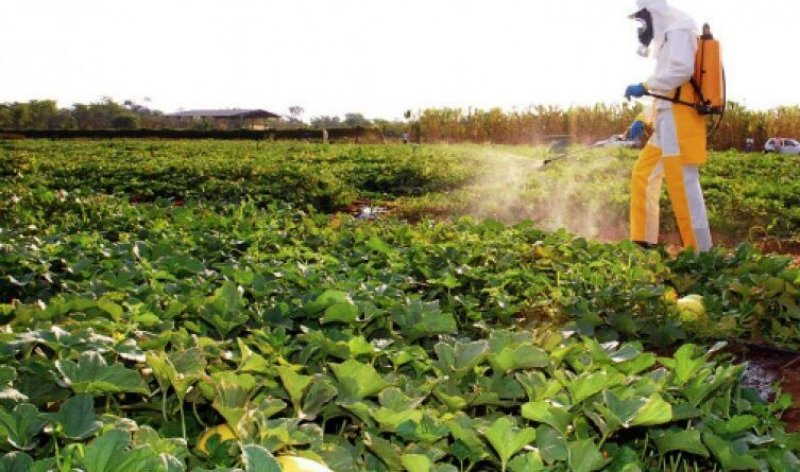 Saúde alerta a população sobre os impactos dos agrotóxicos na saúde dos trabalhadores tocantinenses