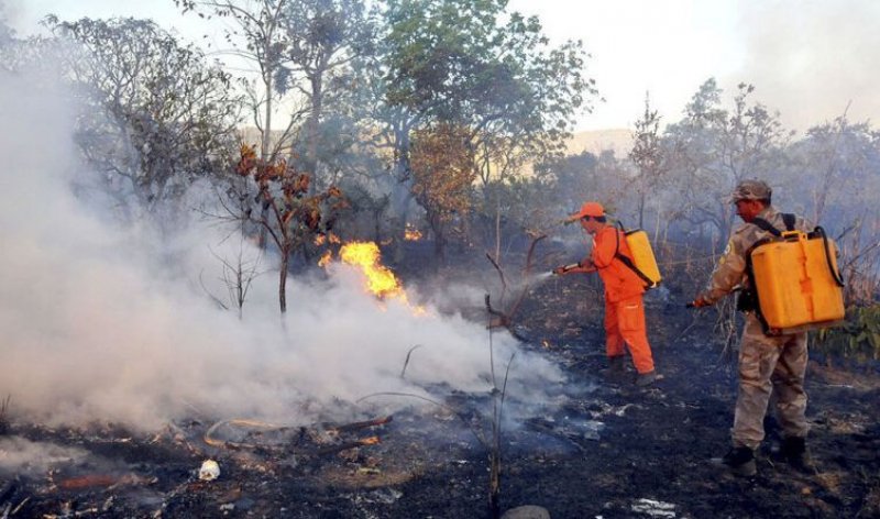 Tocantins está entre estados que não protocolaram projeto no Fundo Amazônia, que tem R$ 405 mi para combate a incêndios