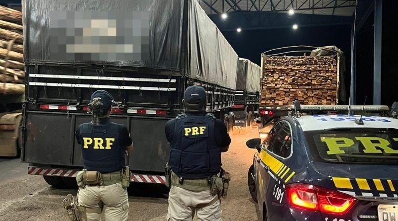 PRF/TO apreende quase 90m³ de madeira transportada ilegalmente na BR 230