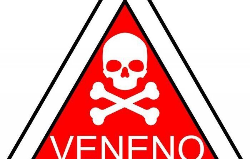 Estudante de 11 anos envenena água da garrafa de colega em escola de Palmas