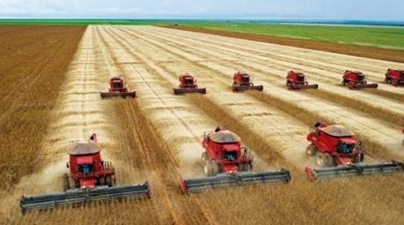 Agro dispara com maior crescimento em 27 anos e sustenta alta do PIB