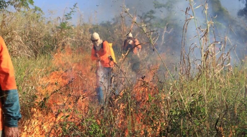 IBAMA abre mais de 150 vagas para brigadistas em comunidades indígenas e quilombolas